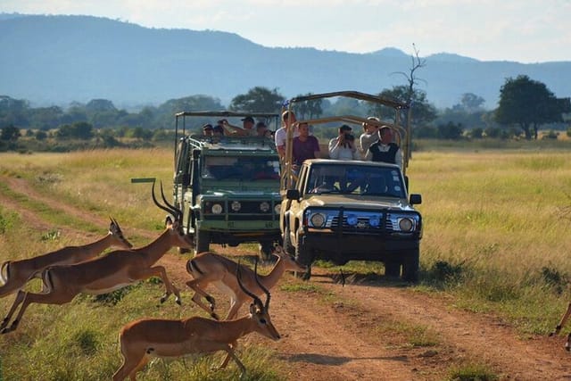 2 Day Safari Isimangaliso Wetland Park & Hluhluwe Imfolozi from Durban - Photo 1 of 11